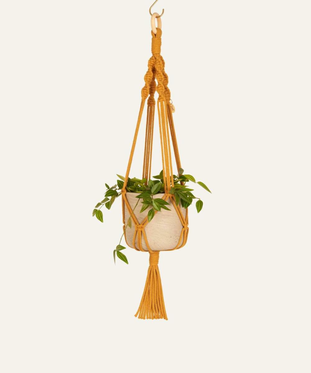 Mustard Plant Hanger, Twisted Knot Outdoor